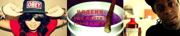 бошки Белокуриха