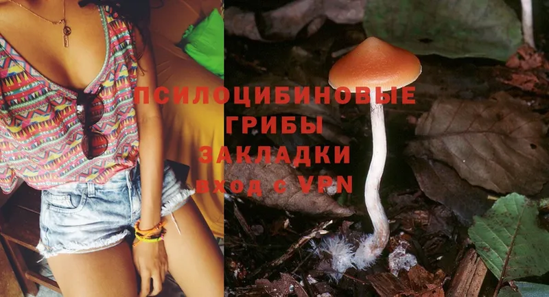 Псилоцибиновые грибы Psilocybe  МЕГА маркетплейс  Карпинск 